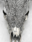 Fully carved cow skulls with Fern Carving Skull,A/085