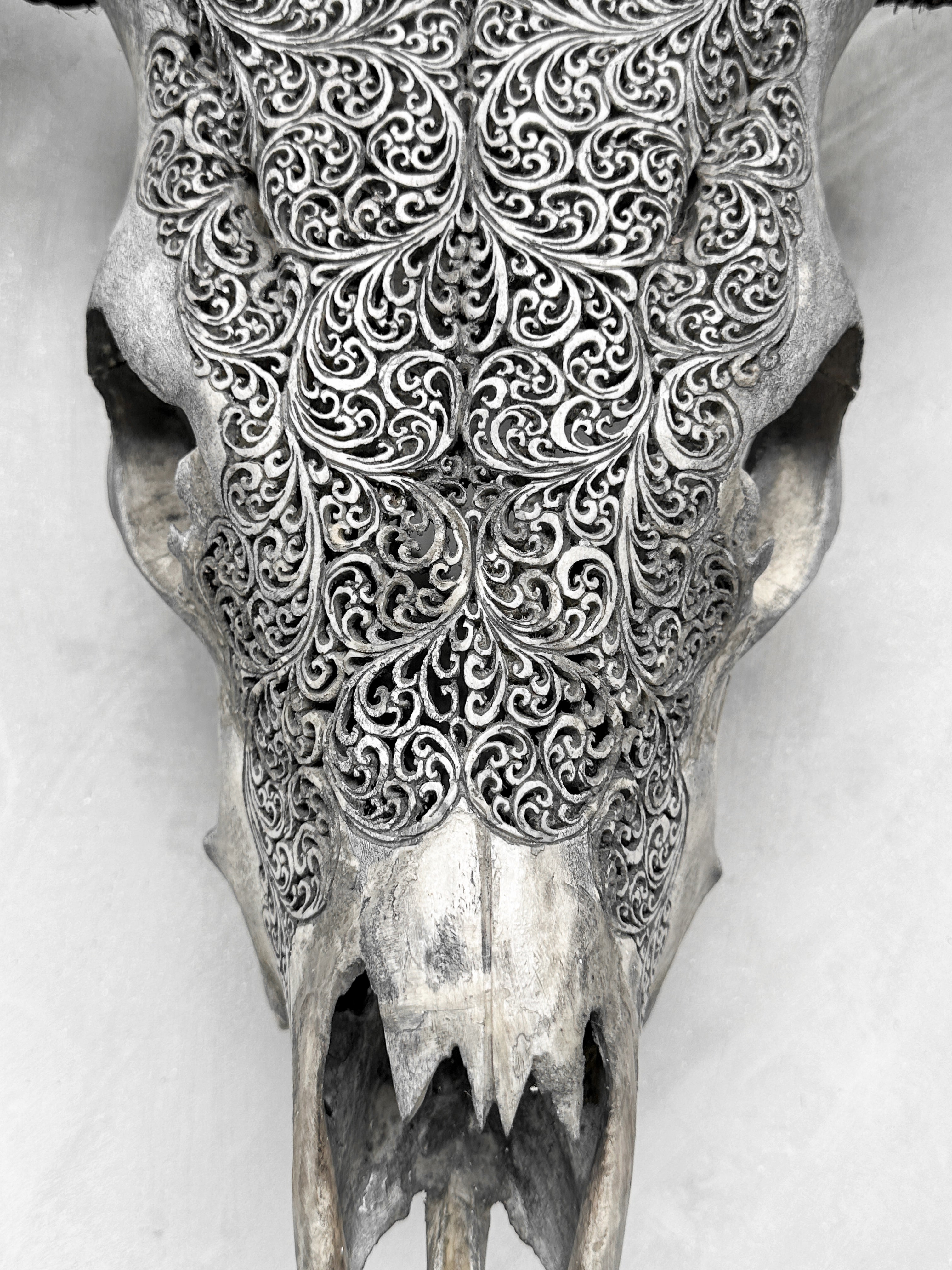 Fully carved cow skulls with Fern Carving Skull,A/085