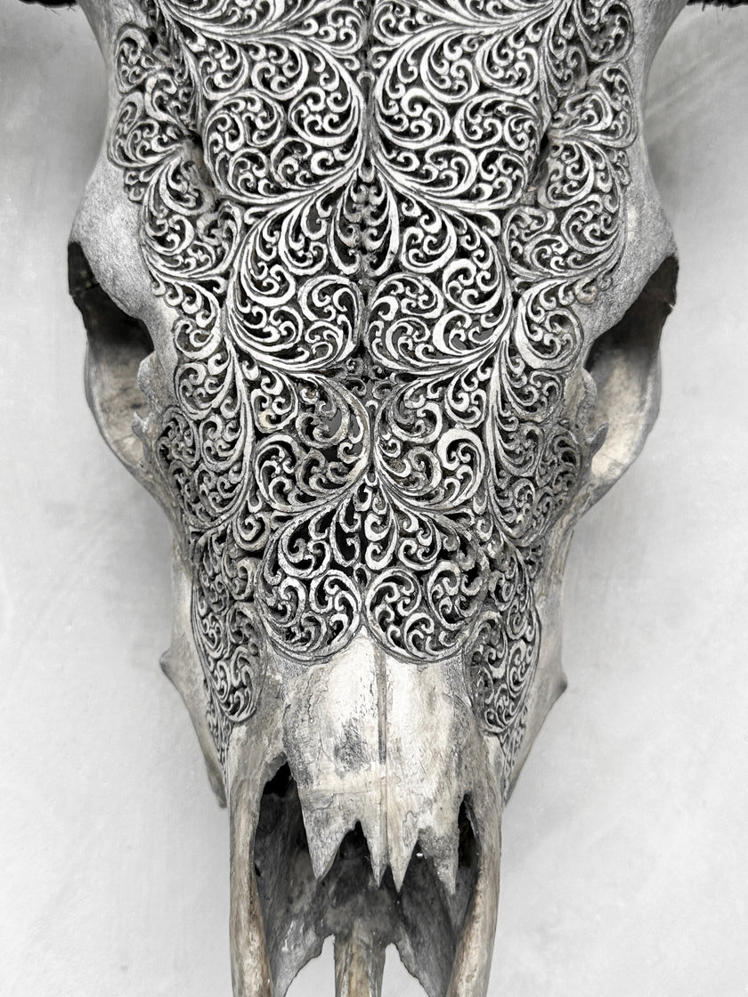 Fully carved cow skulls with Fern Carving Skull,A/085