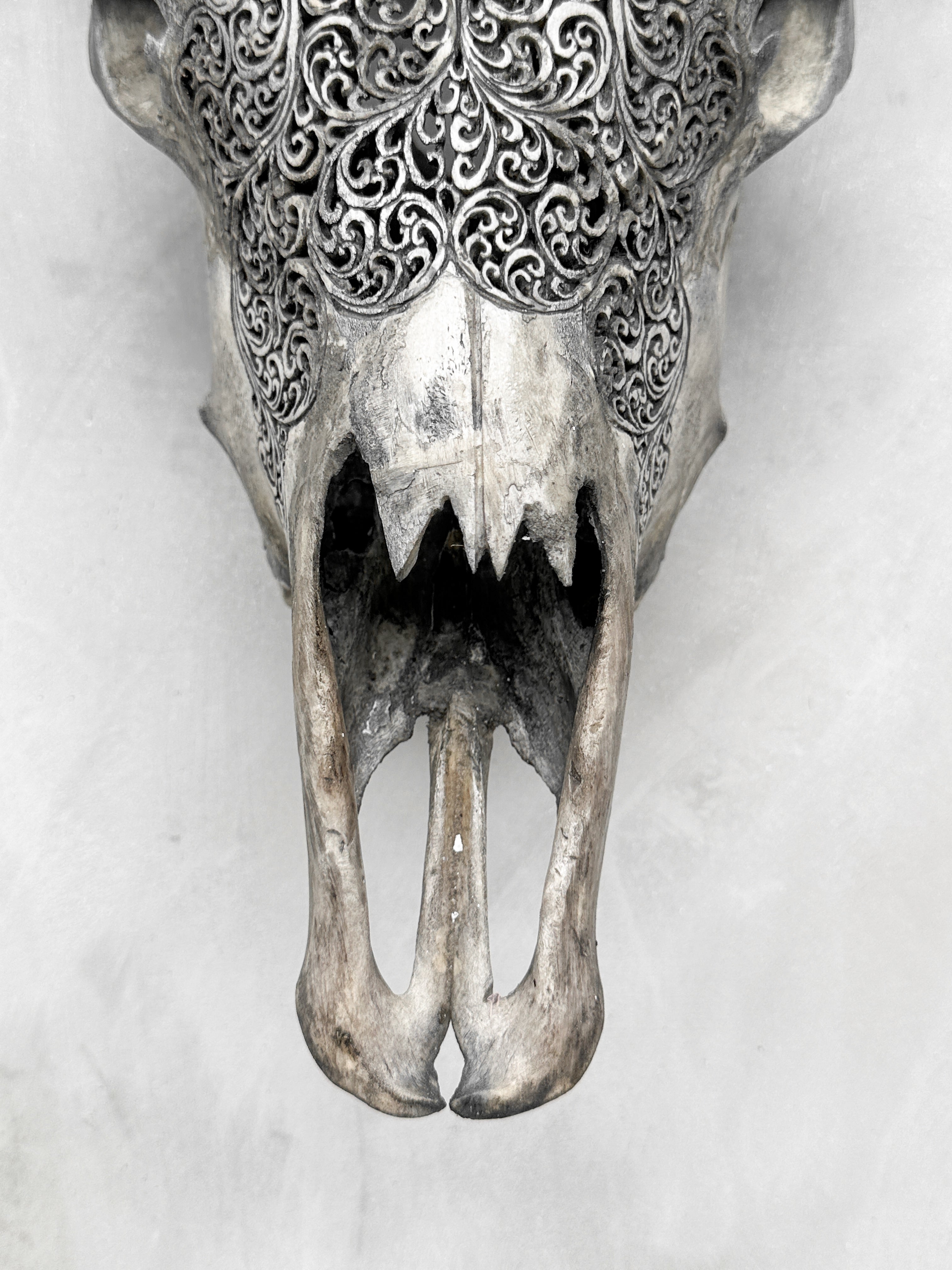 Fully carved cow skulls with Fern Carving Skull,A/085