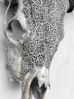 Fully carved cow skulls with Fern Carving Skull,A/085