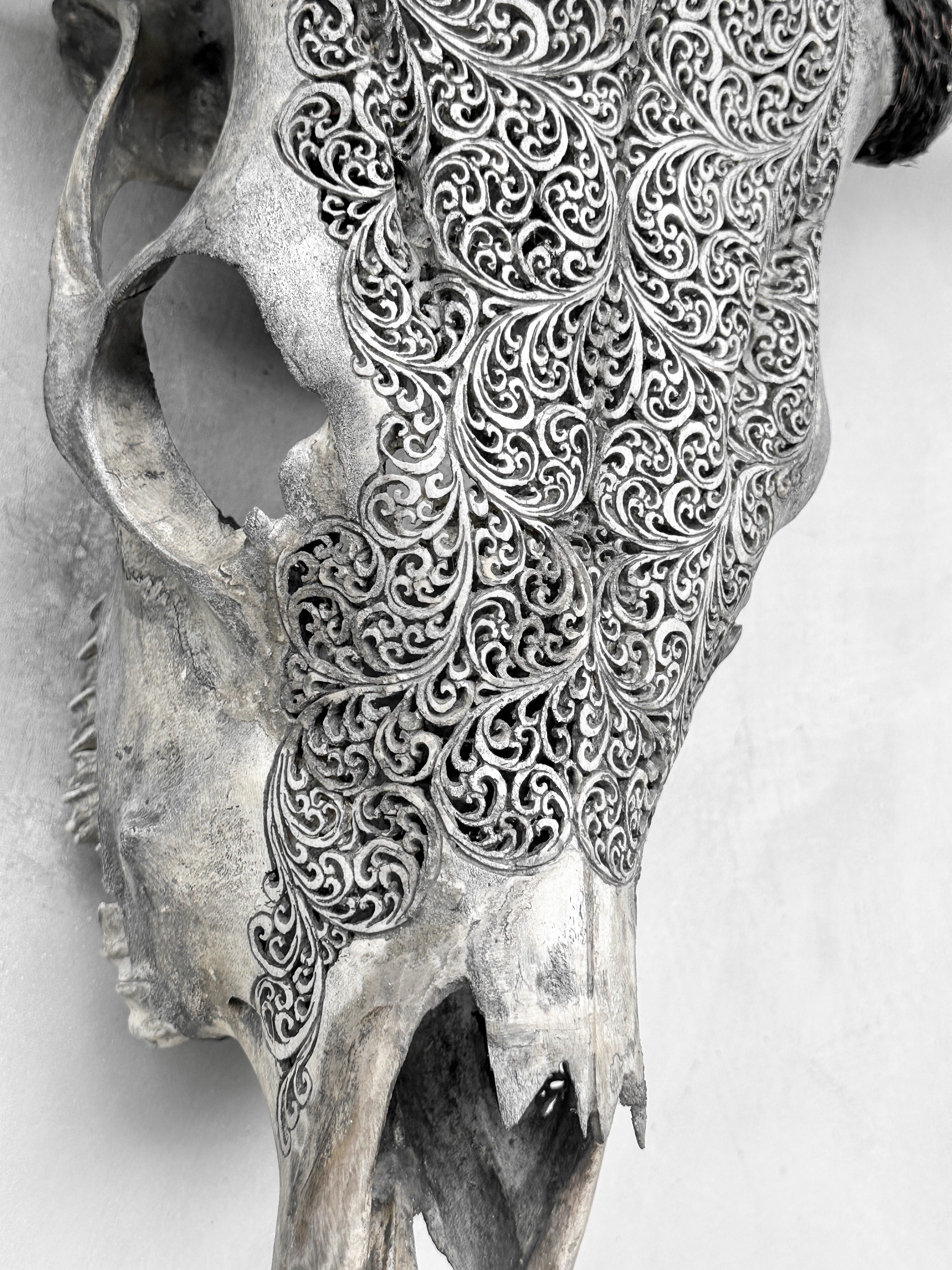 Fully carved cow skulls with Fern Carving Skull,A/085