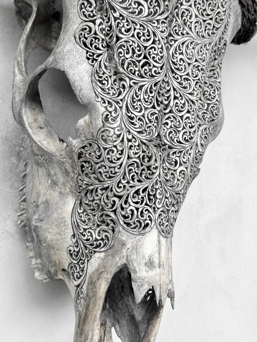 Fully carved cow skulls with Fern Carving Skull,A/085