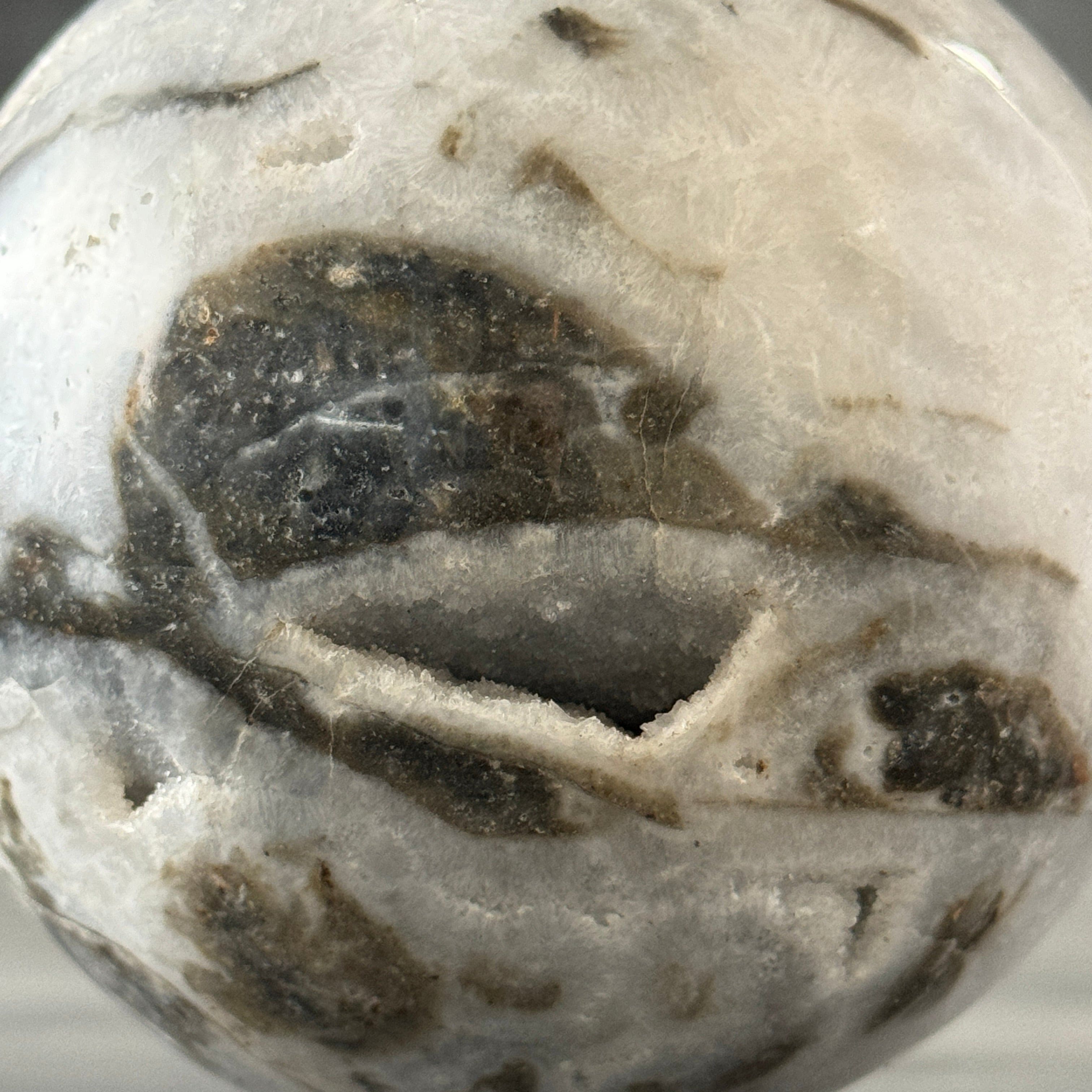 Sphere Crystal Zebra - Min,A/016