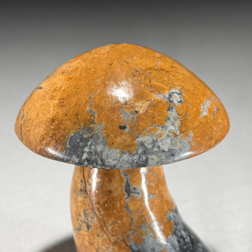 Set 3 Mushroom Maligano yellow-U2/461