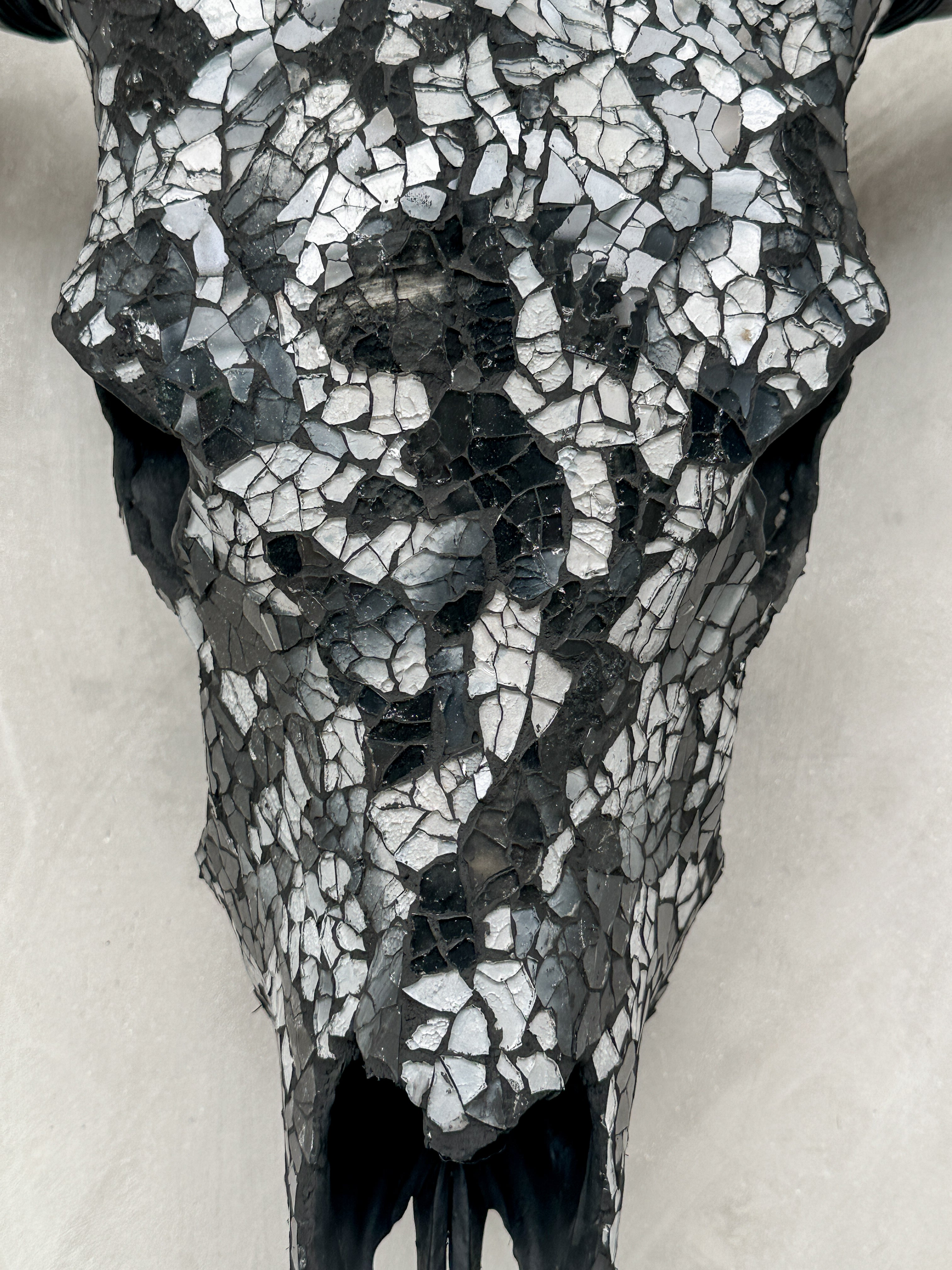Black & Silver Mosaic Cow Skull | Taxidermy Wall Art for Modern Boho or Western Decor