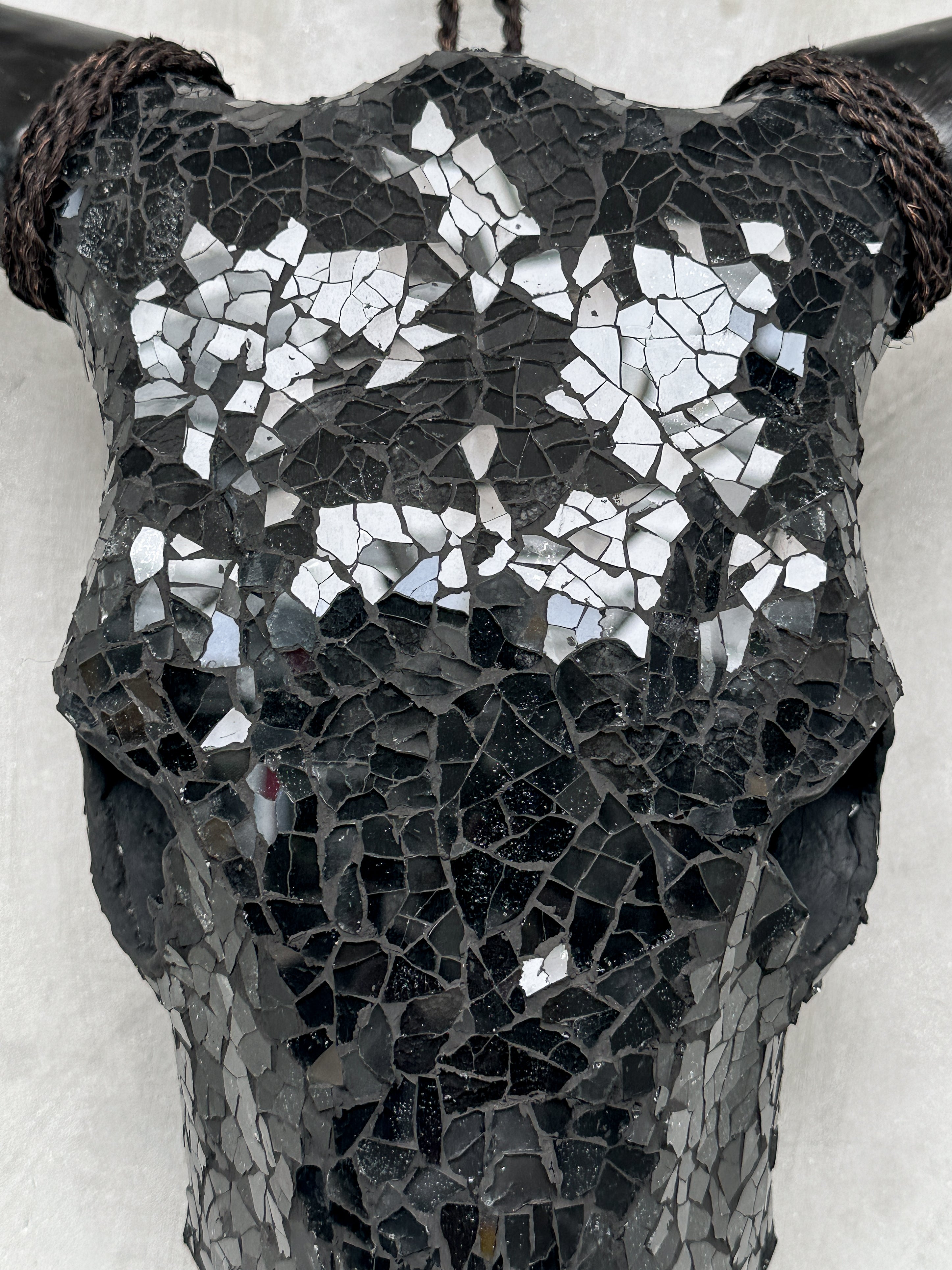 Black Mosaic Cow Skull | Taxidermy Wall Art for Modern Boho or Western Decor