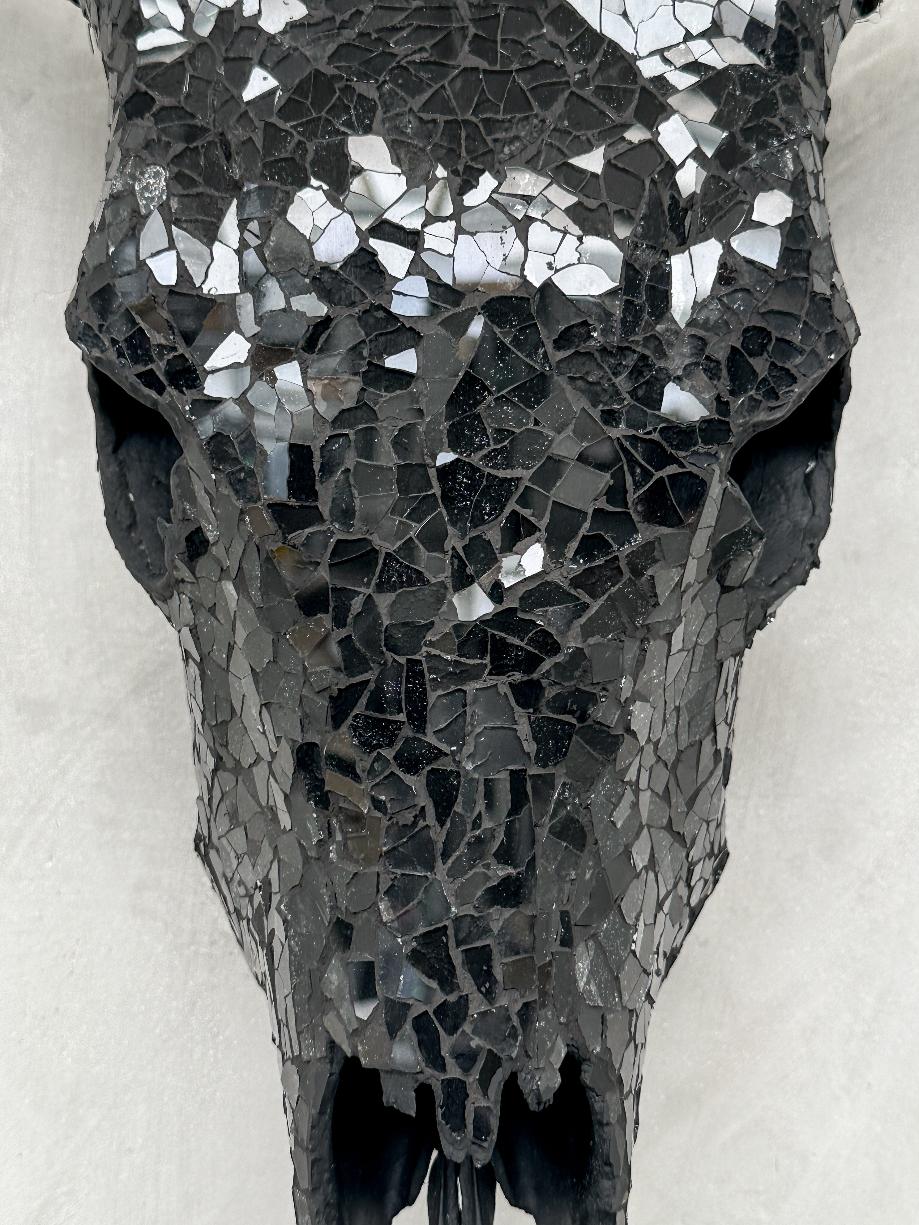 Black Mosaic Cow Skull | Taxidermy Wall Art for Modern Boho or Western Decor