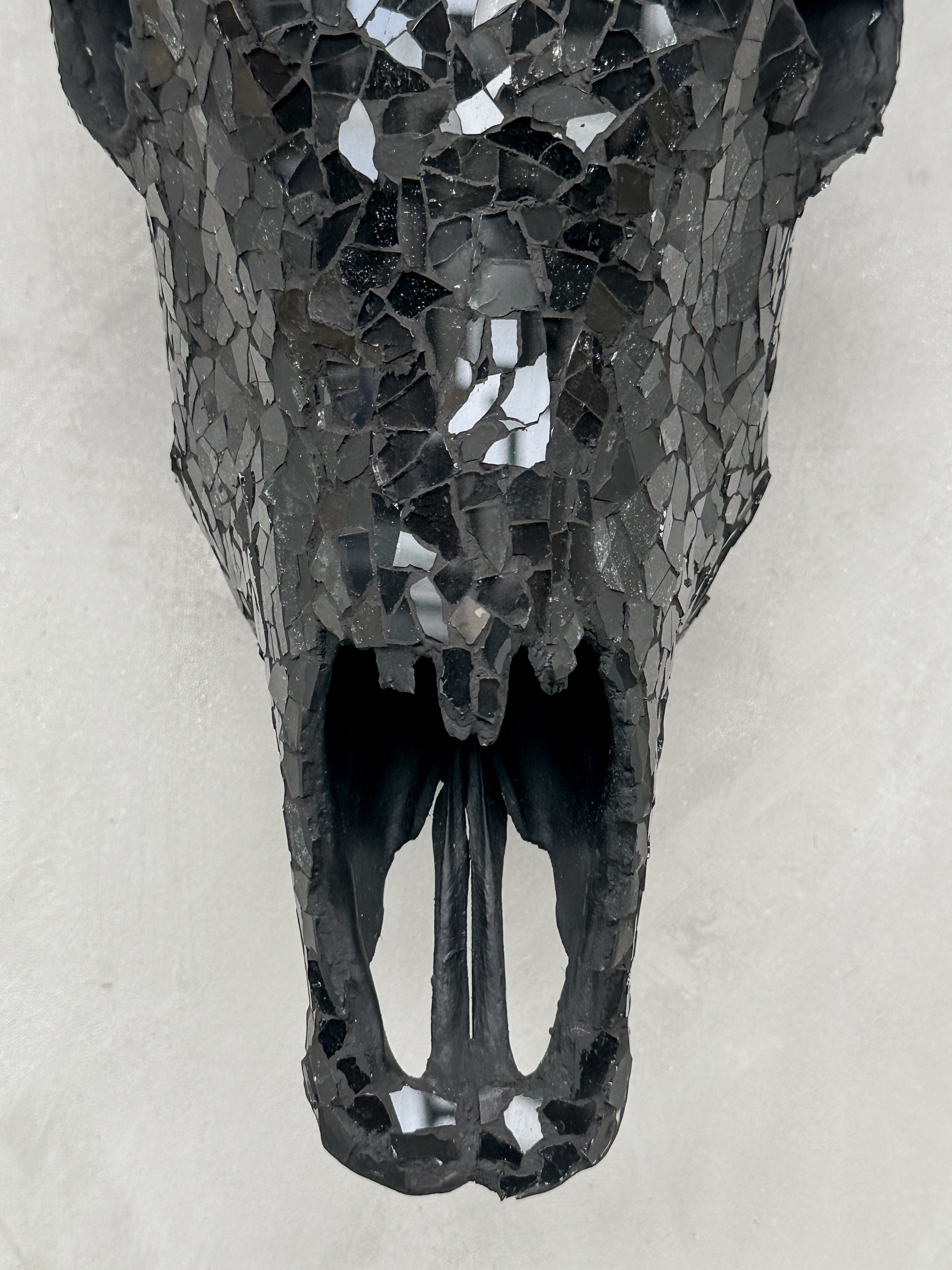 Black Mosaic Cow Skull | Taxidermy Wall Art for Modern Boho or Western Decor