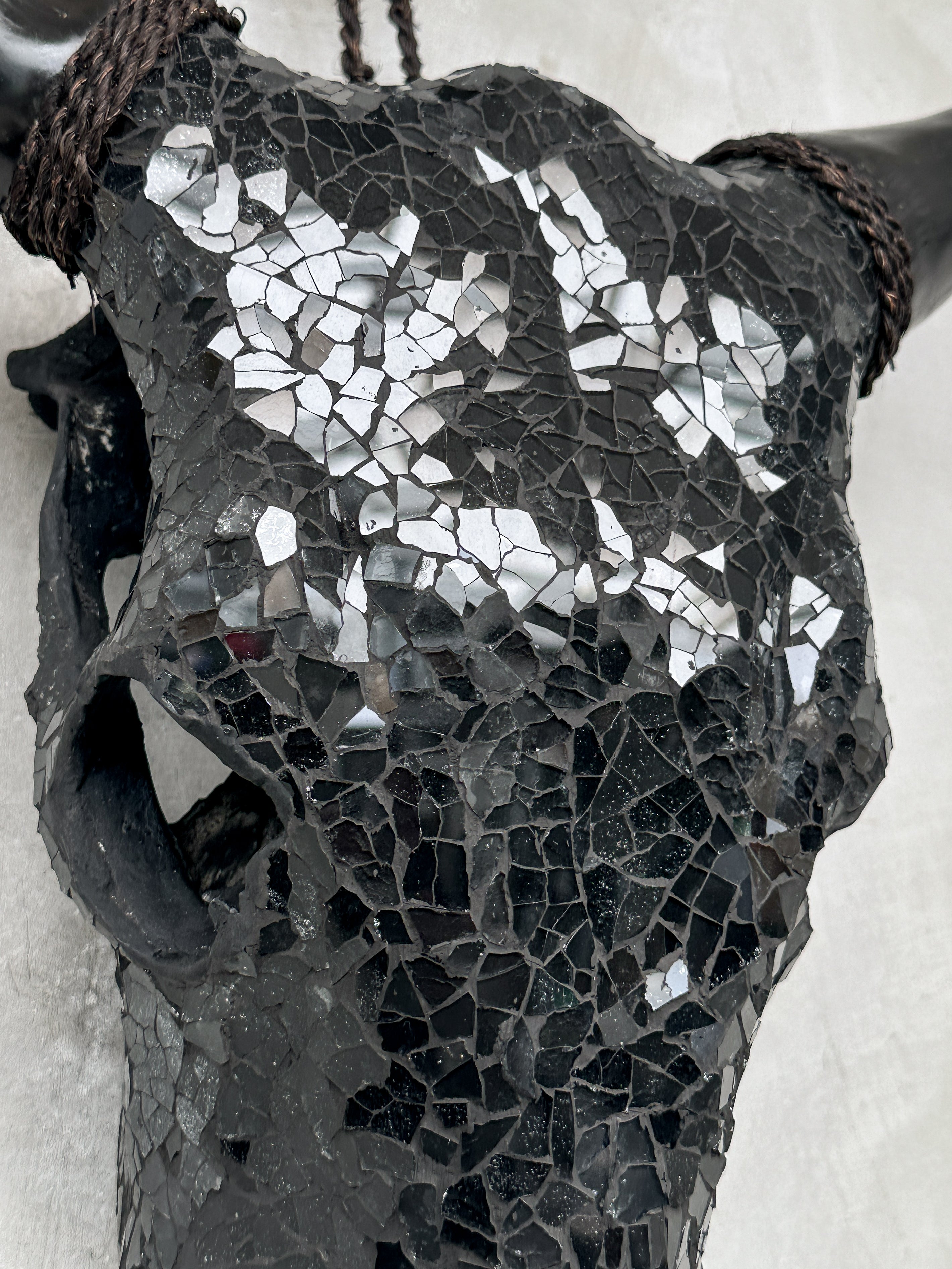 Black Mosaic Cow Skull | Taxidermy Wall Art for Modern Boho or Western Decor