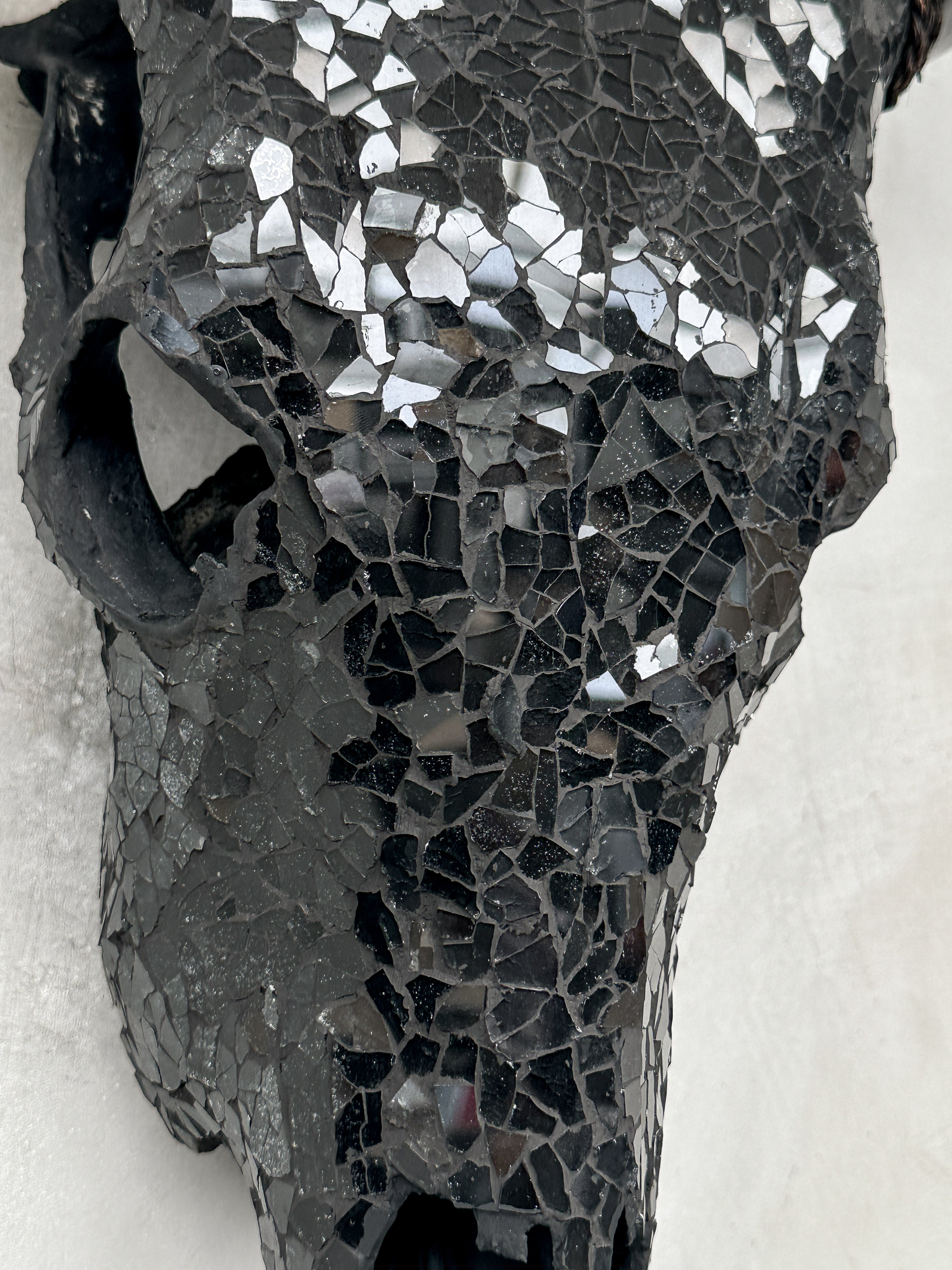 Black Mosaic Cow Skull | Taxidermy Wall Art for Modern Boho or Western Decor
