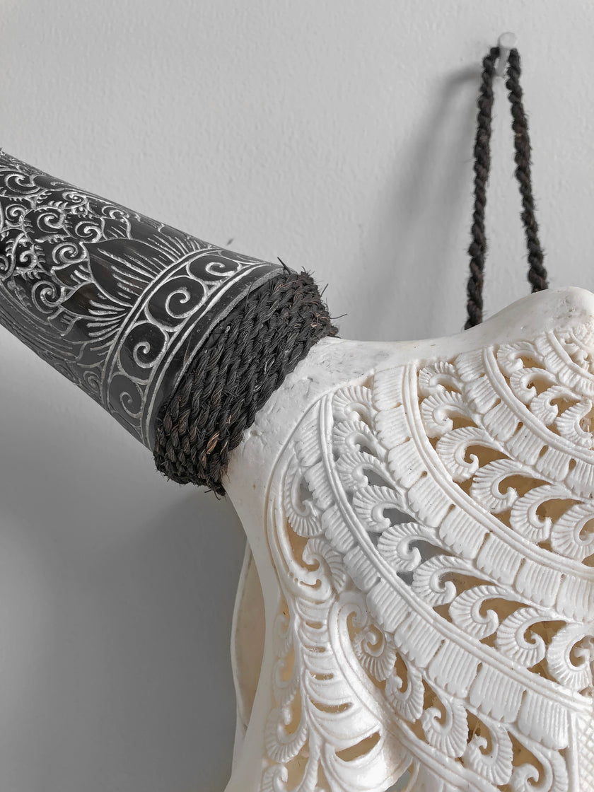 Real Carved Cow Skull with Carved Horns 22/EX/329