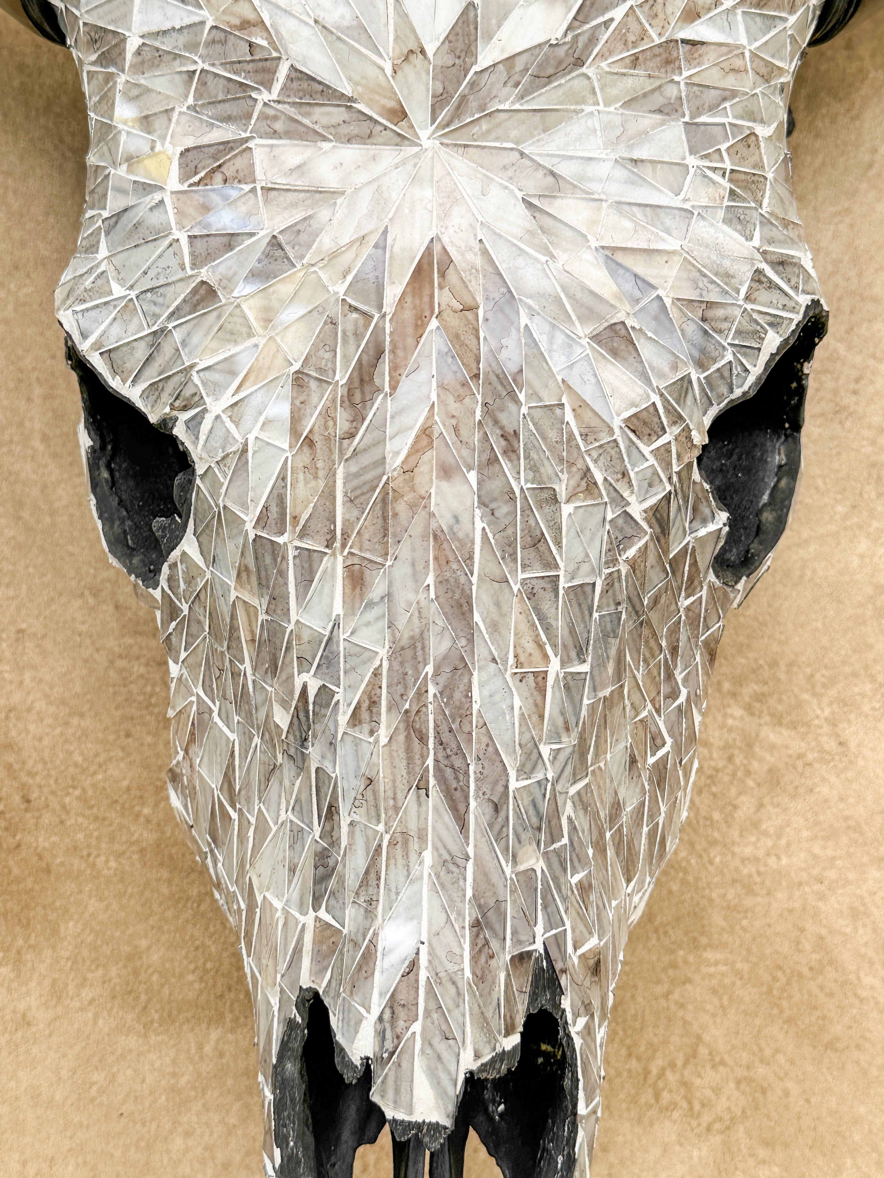 Warm White Mosaic Cow Skull | Taxidermy Wall Art for Modern Boho or Western Decor