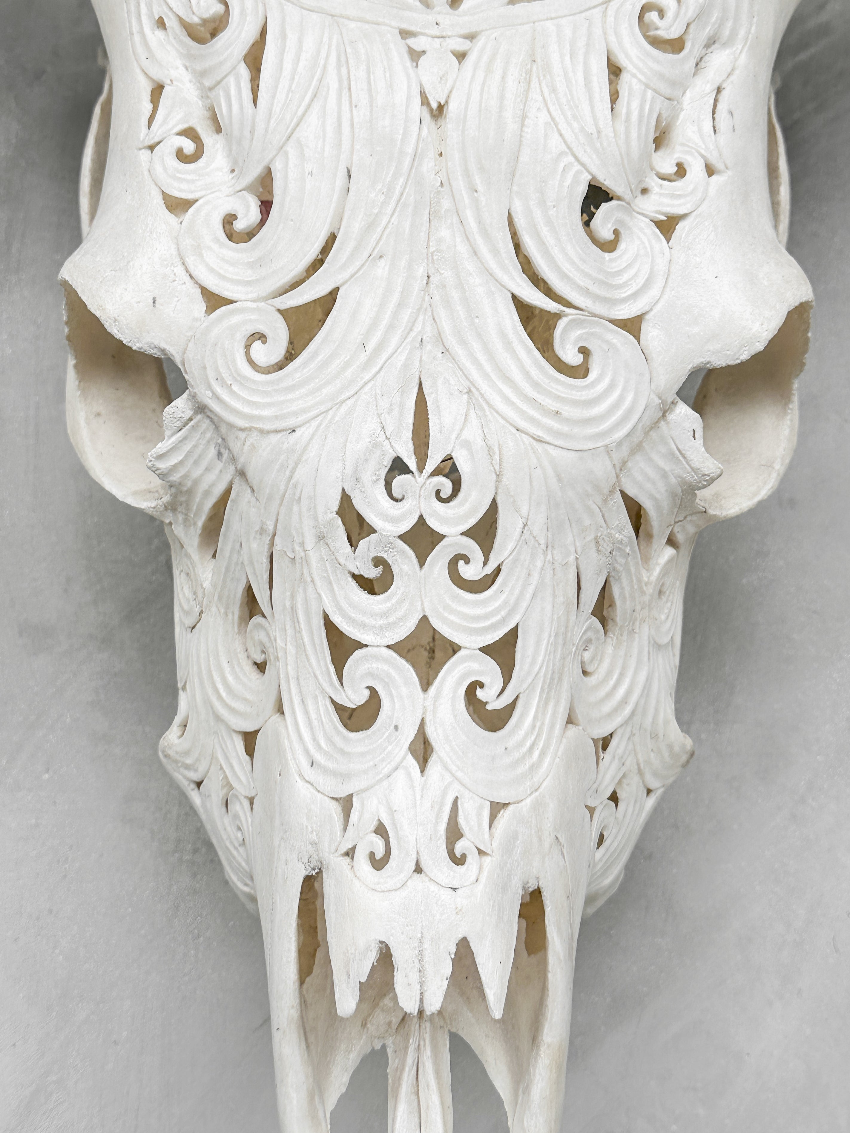 Fully carved cow skulls with Flower Of life Carving Skull,A/080