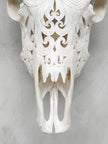Fully carved cow skulls with Flower Of life Carving Skull,A/080