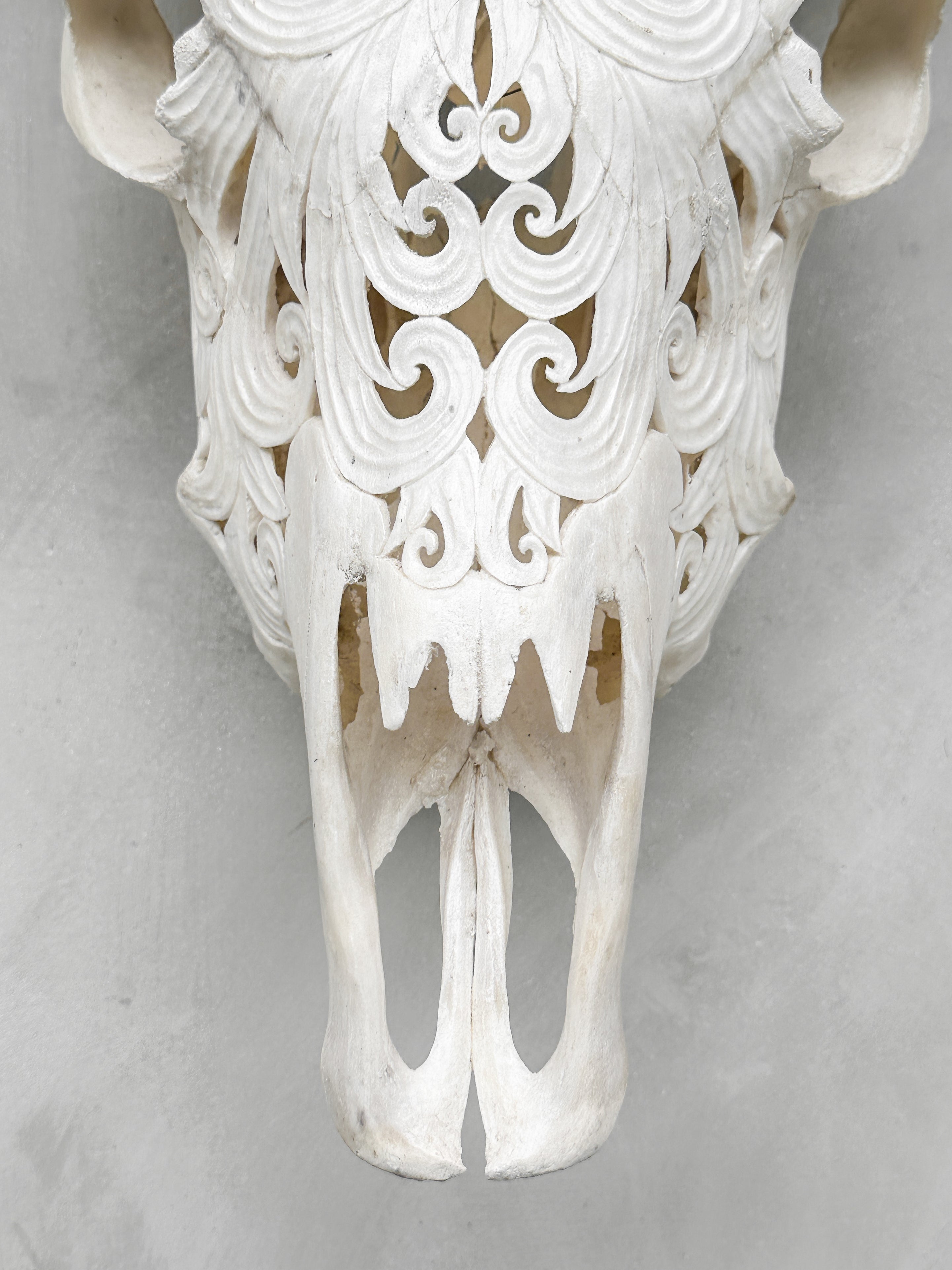 Fully carved cow skulls with Flower Of life Carving Skull,A/080