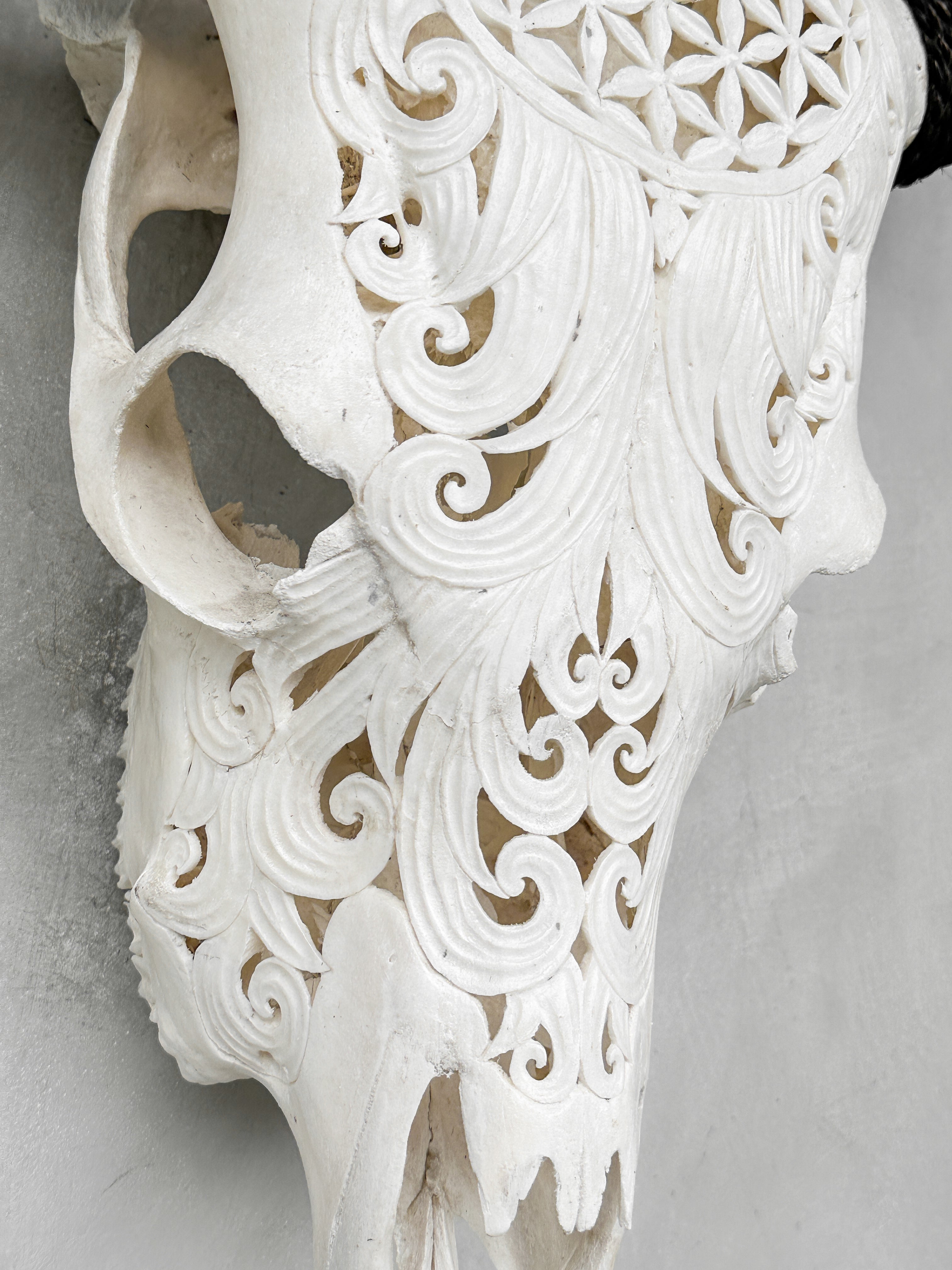 Fully carved cow skulls with Flower Of life Carving Skull,A/080