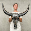 Silver Mozaic Buffalo skull | Skull,A/130