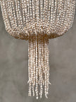 Chandelier Shell 7 - SL07