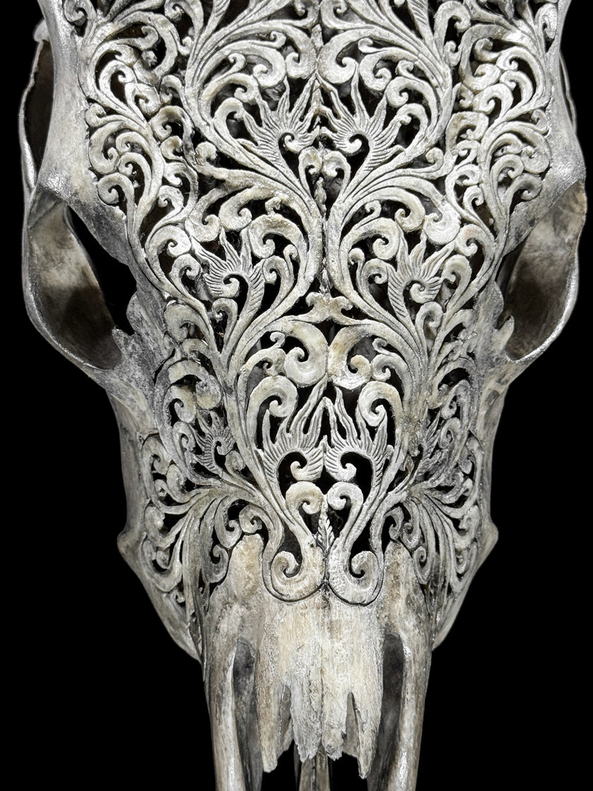 Fully carved cow skulls with Tradball Carving Skull,A/077