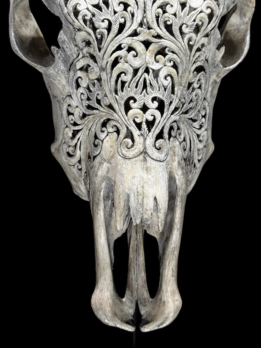 Fully carved cow skulls with Tradball Carving Skull,A/077