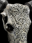 Fully carved cow skulls with Tradball Carving Skull,A/077