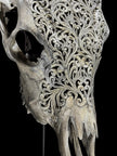 Fully carved cow skulls with Tradball Carving Skull,A/077