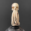 Tamarind Wood Skull with Carved Tentacles - 7S/110