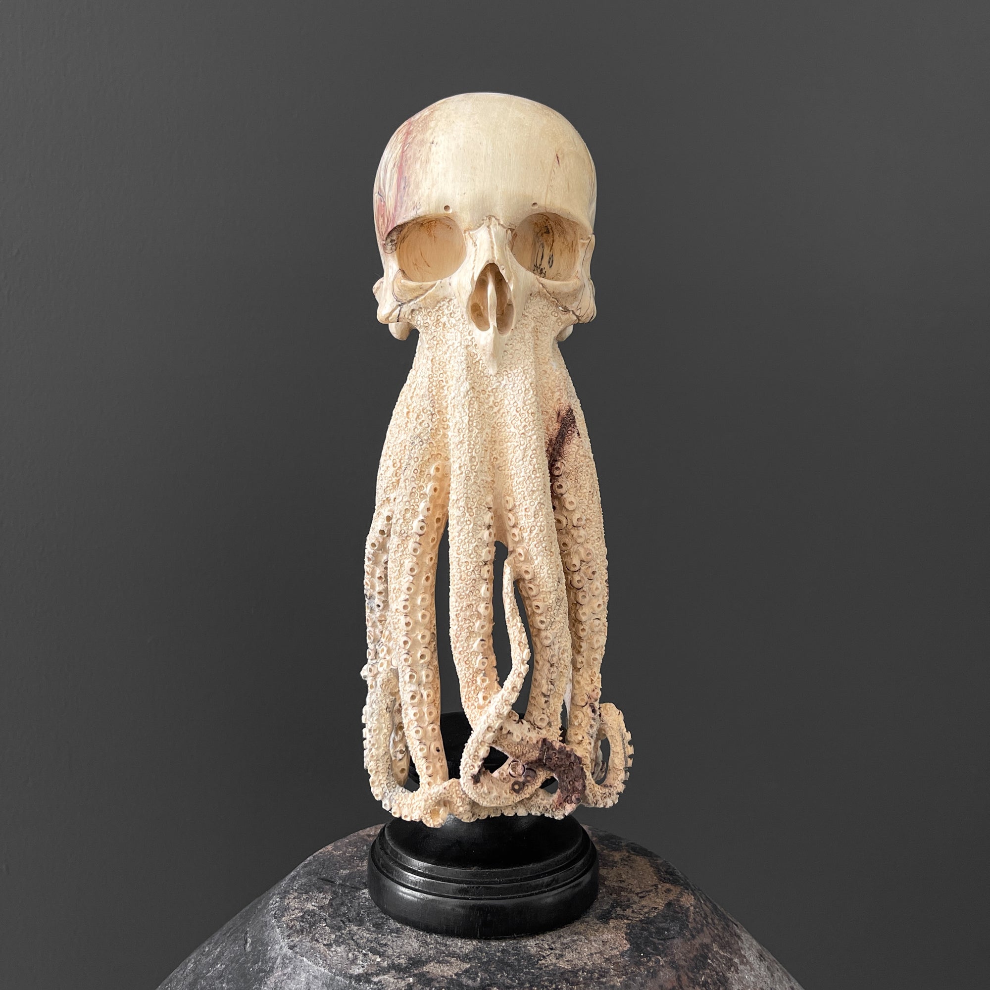 Tamarind Wood Skull with Carved Tentacles - 7S/110
