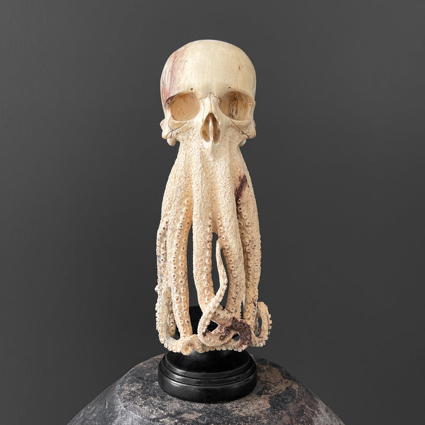 Tamarind Wood Skull with Carved Tentacles - 7S/110