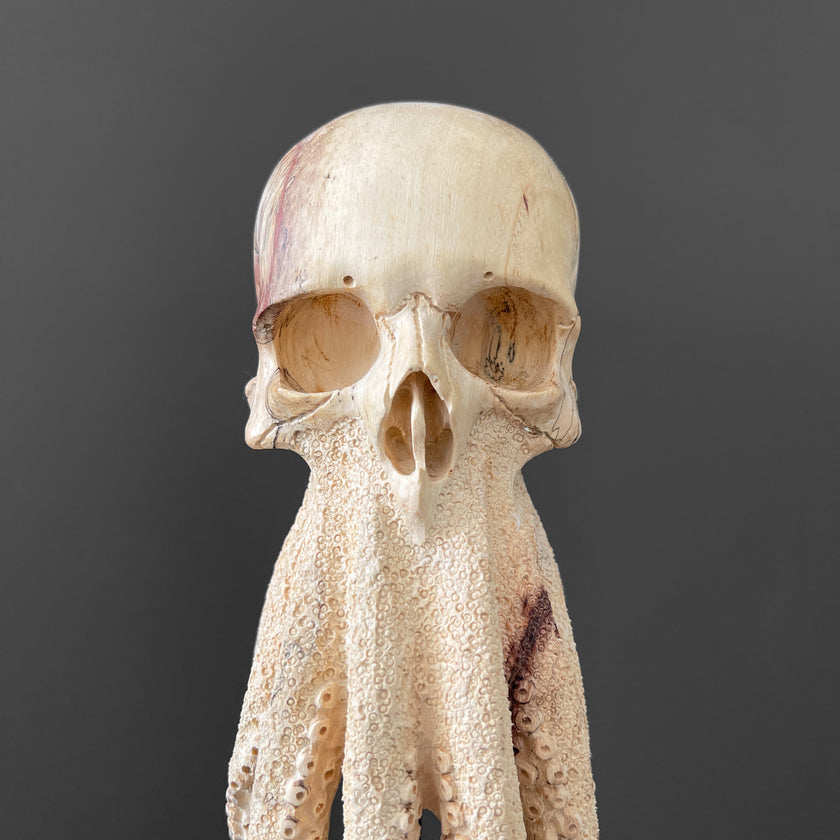 Tamarind Wood Skull with Carved Tentacles - 7S/110