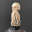 Tamarind Wood Skull with Carved Tentacles - 7S/110
