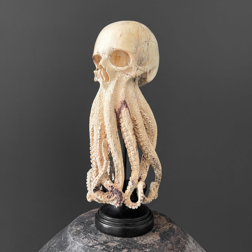 Tamarind Wood Skull with Carved Tentacles - 7S/110
