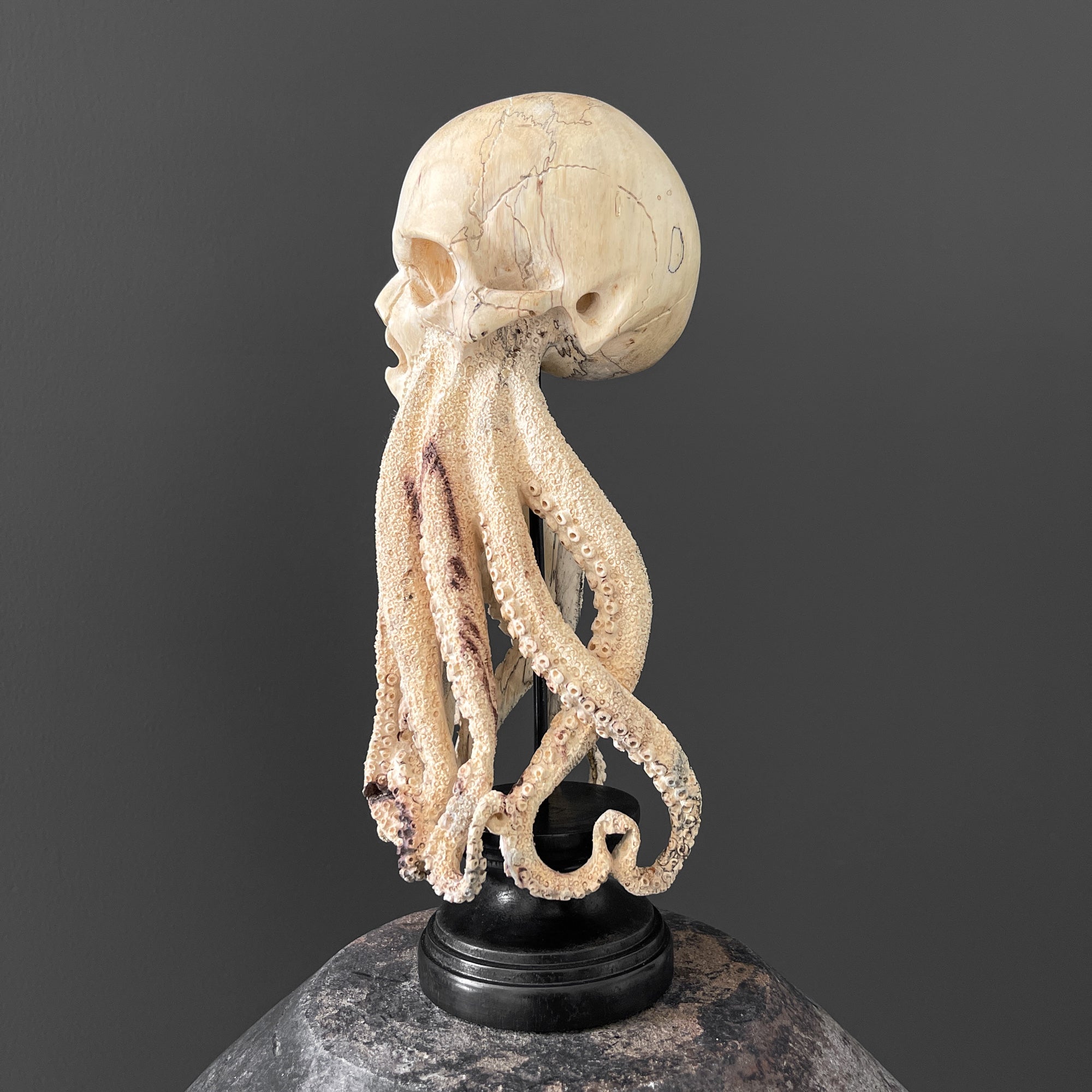 Tamarind Wood Skull with Carved Tentacles - 7S/110