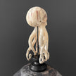 Tamarind Wood Skull with Carved Tentacles - 7S/110