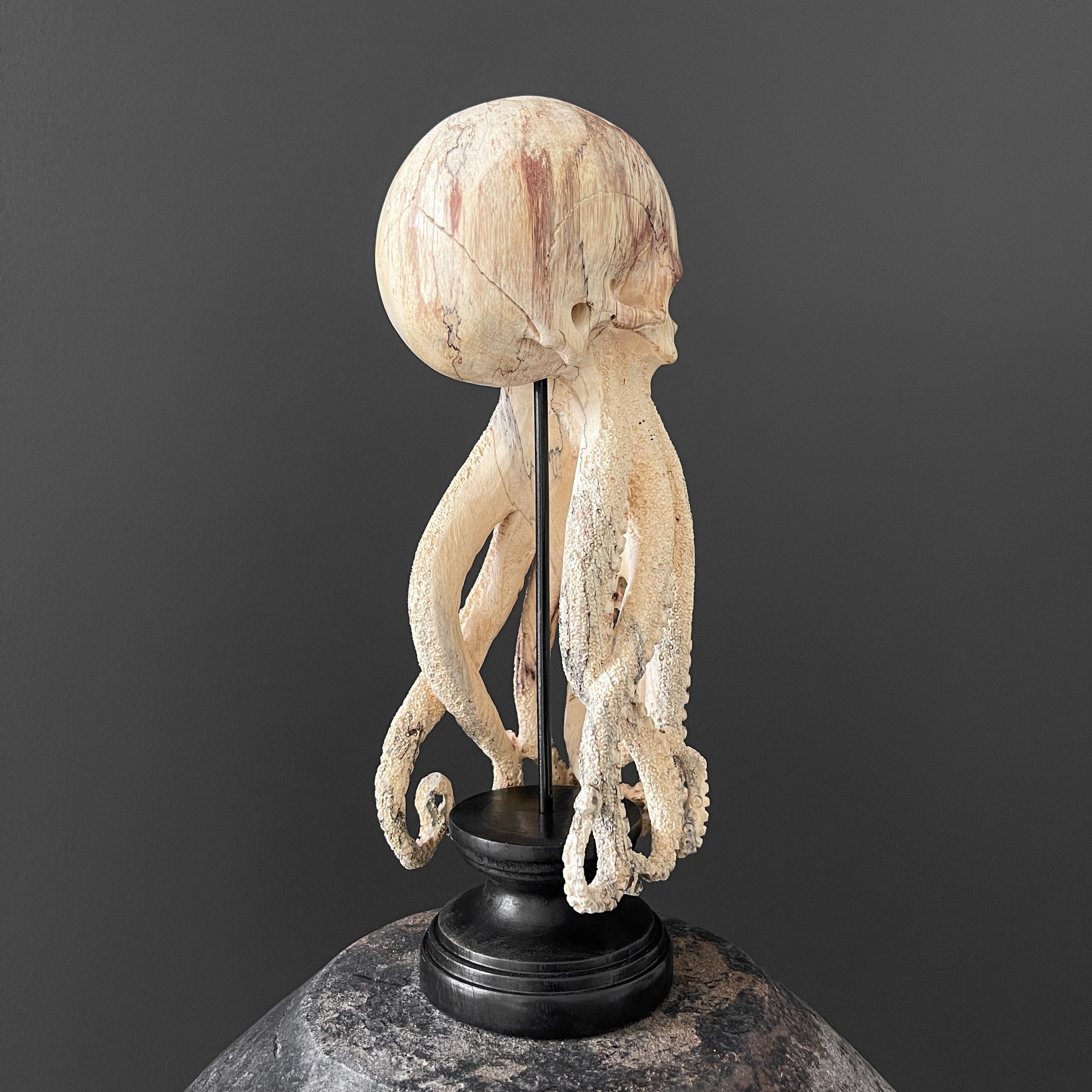 Tamarind Wood Skull with Carved Tentacles - 7S/110