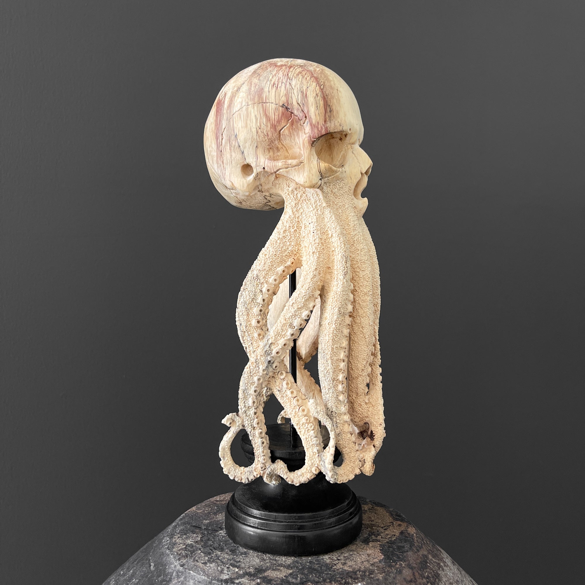 Tamarind Wood Skull with Carved Tentacles - 7S/110