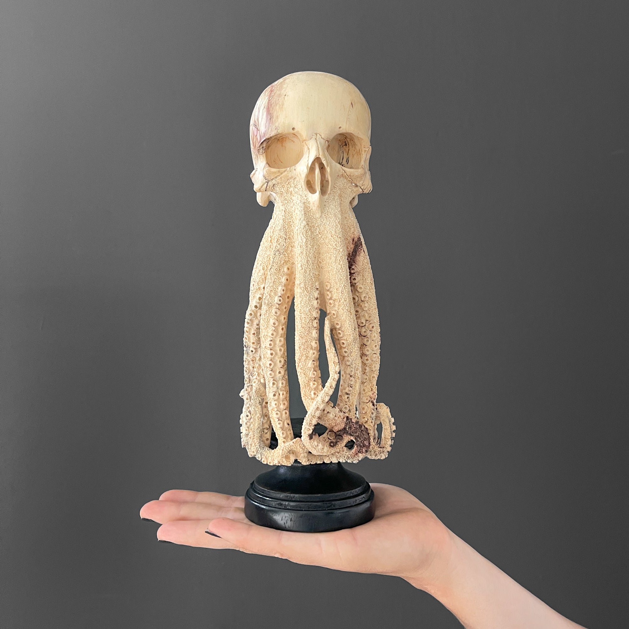 Tamarind Wood Skull with Carved Tentacles - 7S/110