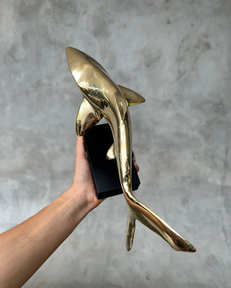 Bronze Marine Life Art