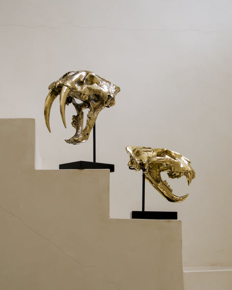 Bronze Skulls