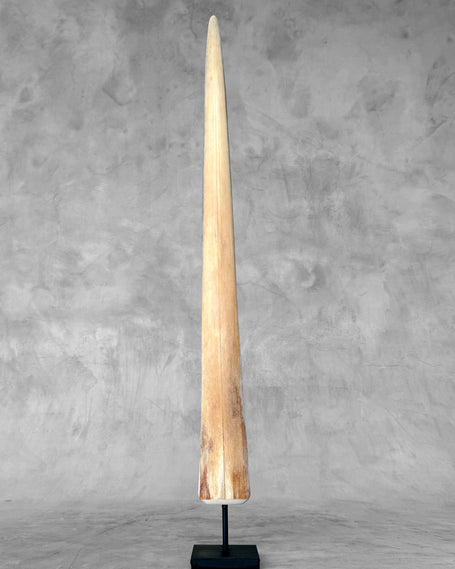 Natural Tusk on stand