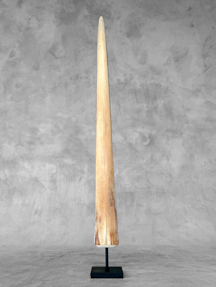 Natural Tusk on stand