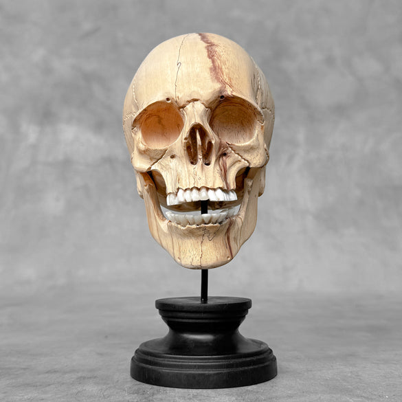 Human Skull Wooden