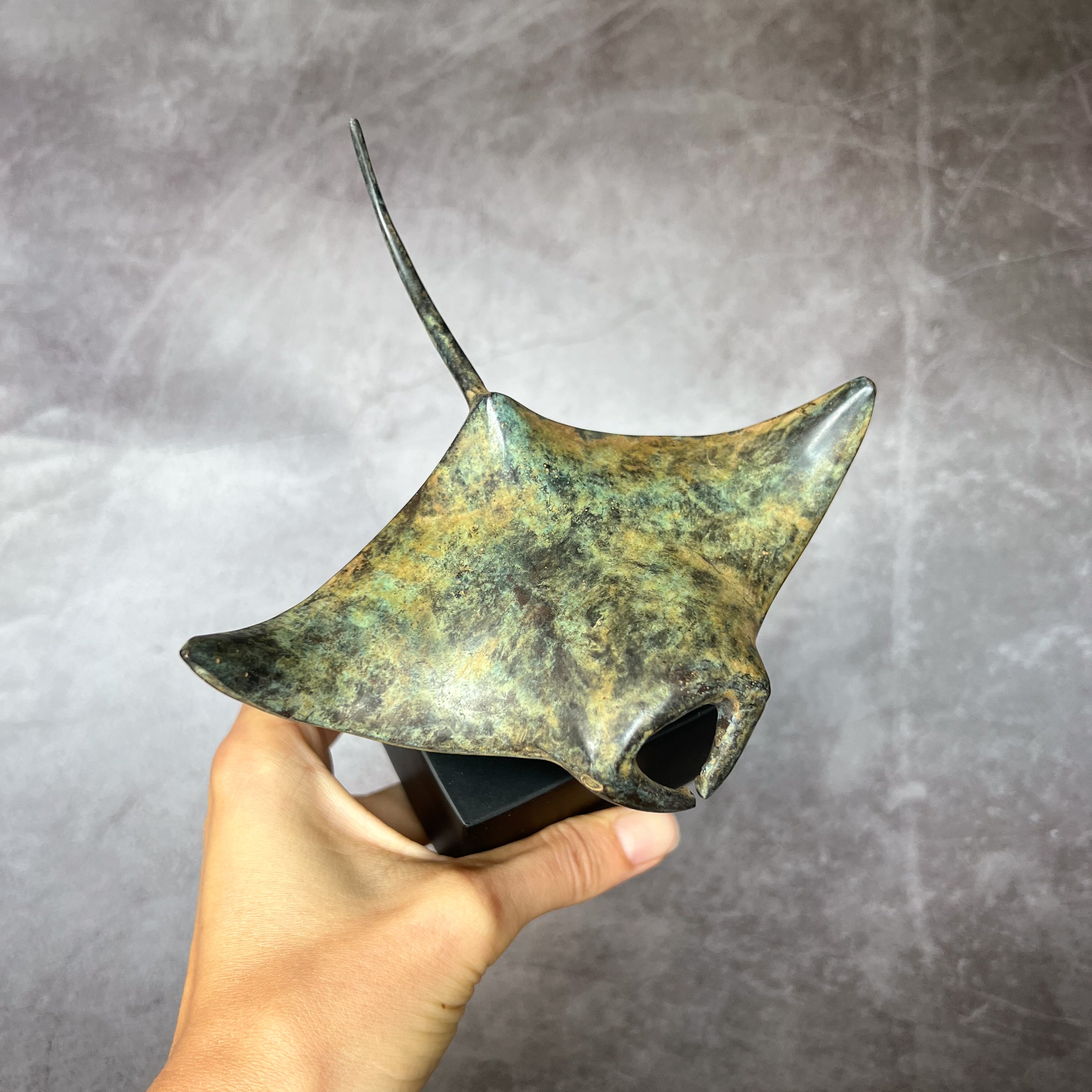 Manta Ray Patinated Bronze - S