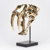 Sabretooth Tiger Polished Bronze on a Stand - Large