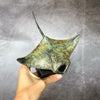 Manta Ray Patinated Bronze - S