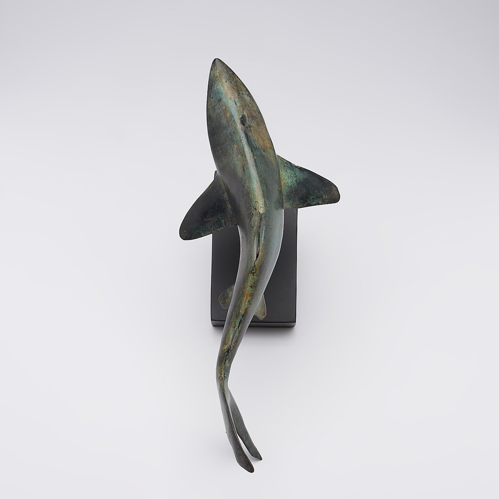 Great White Shart Patinated on Stand