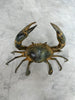 Crab Patinated Bronze  - S