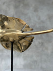 Stingray on a Stand made of Bronze