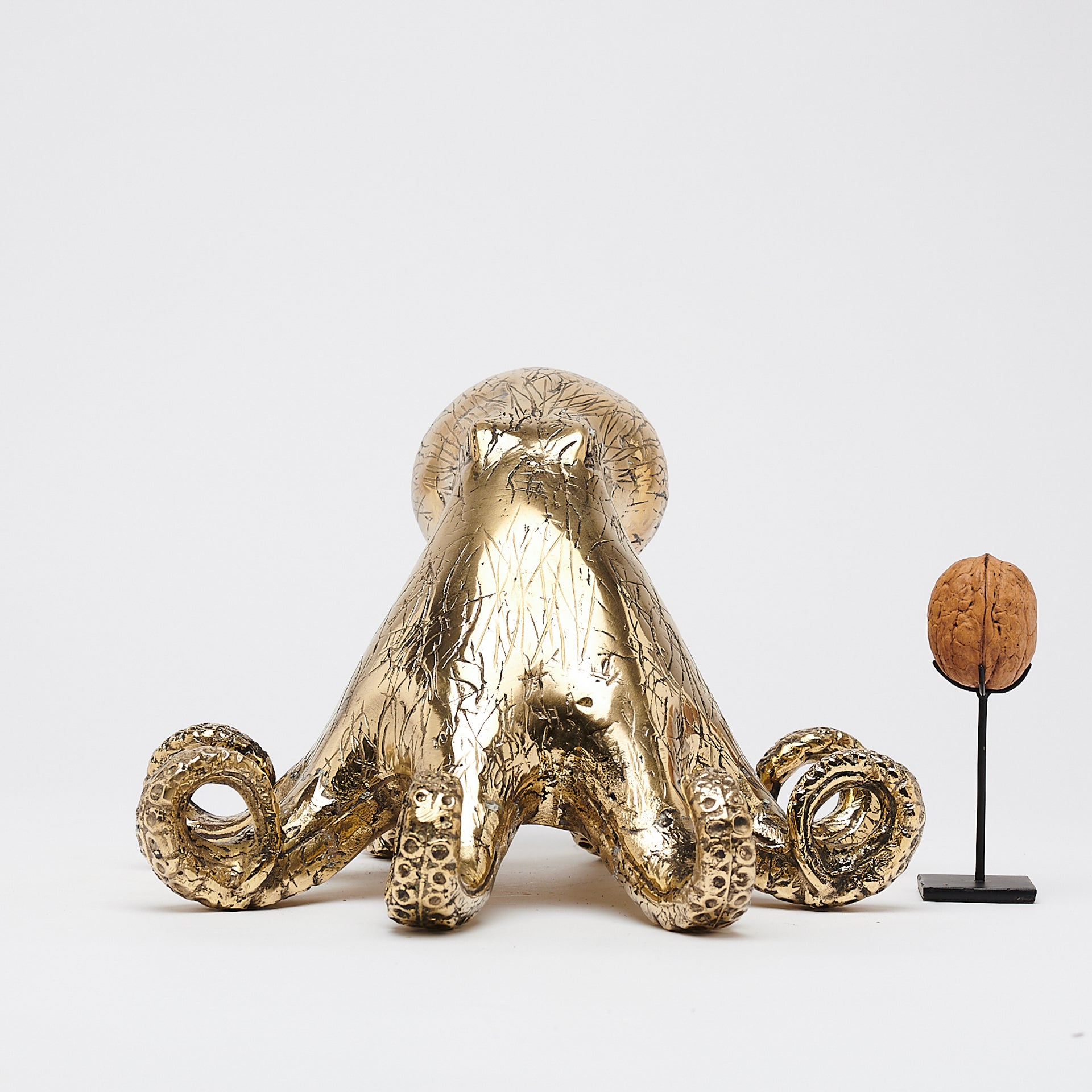 Octopus Polished Bronze - Medium